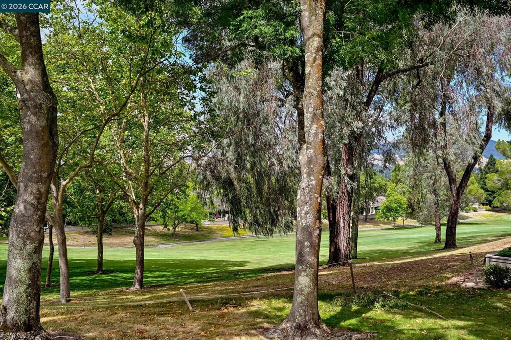 706 Lakeside Court Danville CA 94526