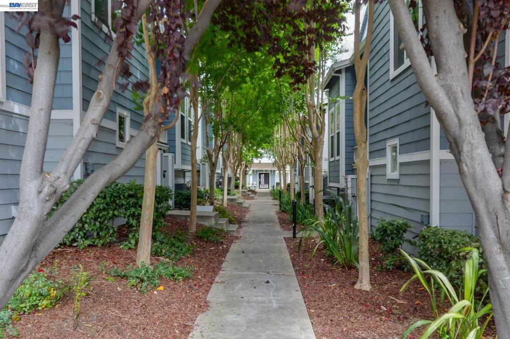 668 Grand Terrace Hayward CA 94541