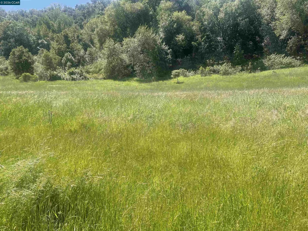 1180 Bear Creek Road Martinez CA 94553