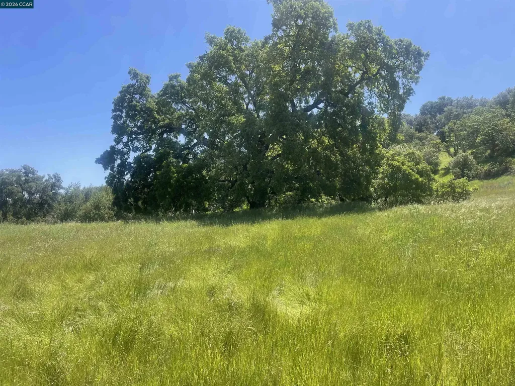1180 Bear Creek Road Martinez CA 94553