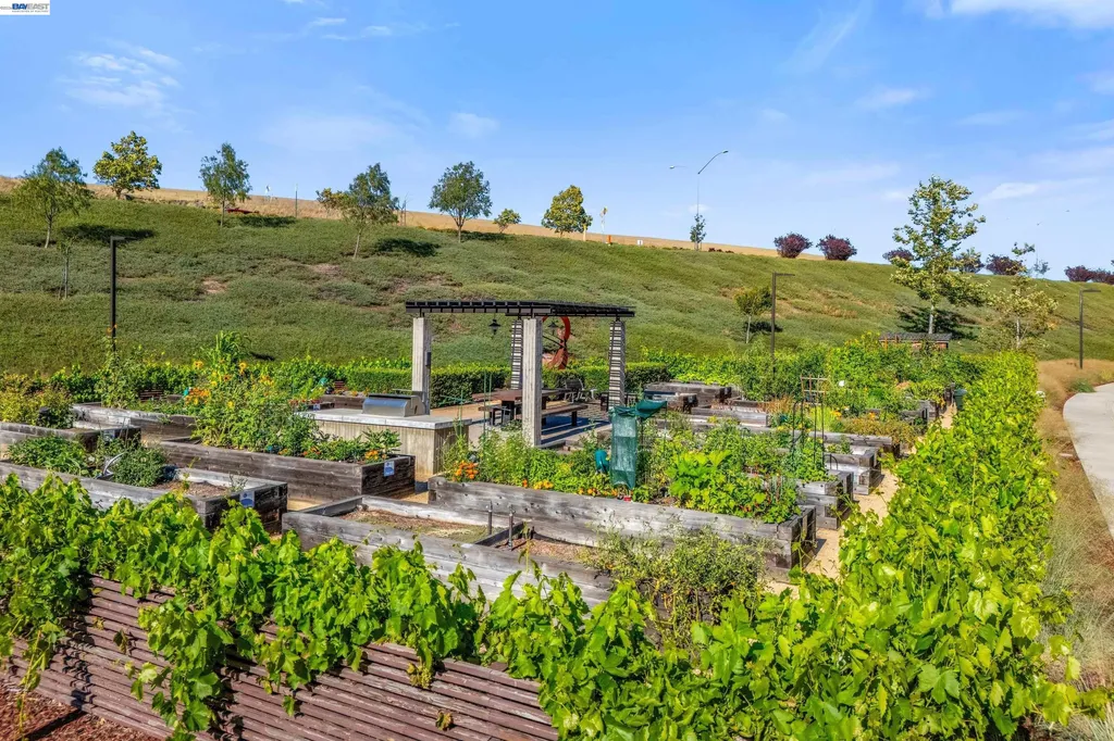 241 Fennel Way Livermore CA 94551