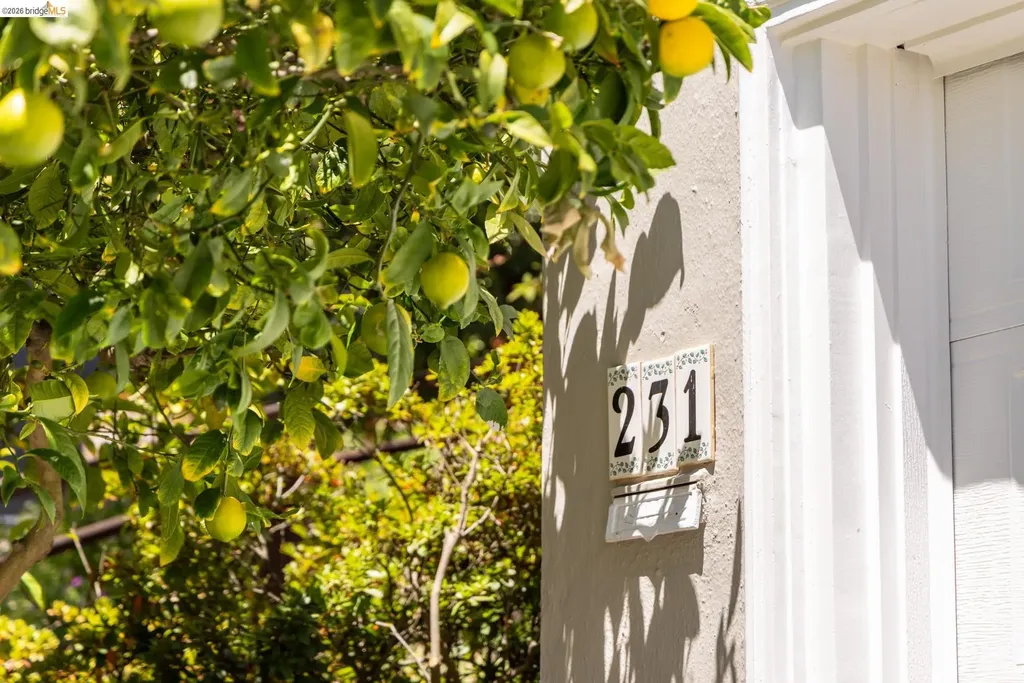 231 Yale Avenue Kensington CA 94708