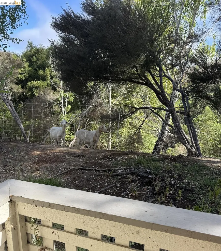 243 Florence Court Hercules CA 94547