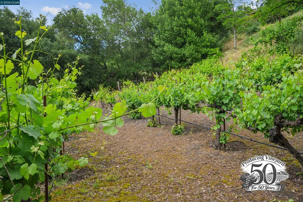 3814 Happy Valley Road Lafayette CA 94549