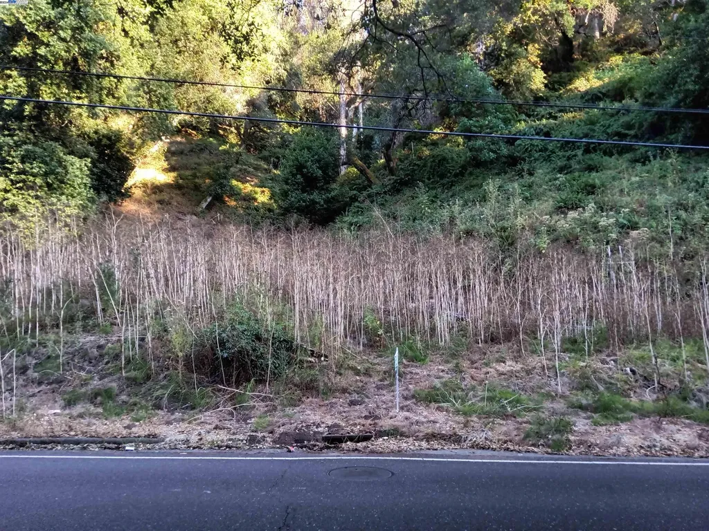 6340 Shepherd Canyon Road Oakland CA 94611