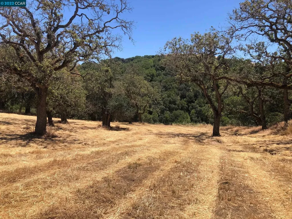 5433 Alhambra Valley Road Martinez CA 94553