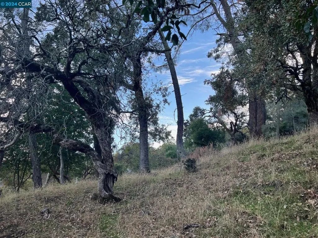 197 Country Club Lane Napa CA 94558