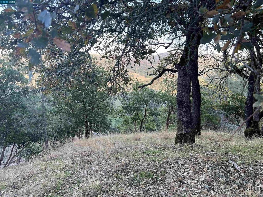 196 Country Club Lane Napa CA 94558