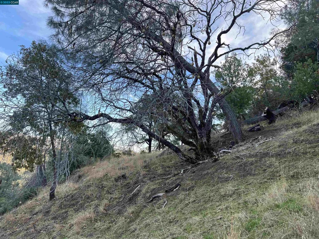 196 Country Club Lane Napa CA 94558