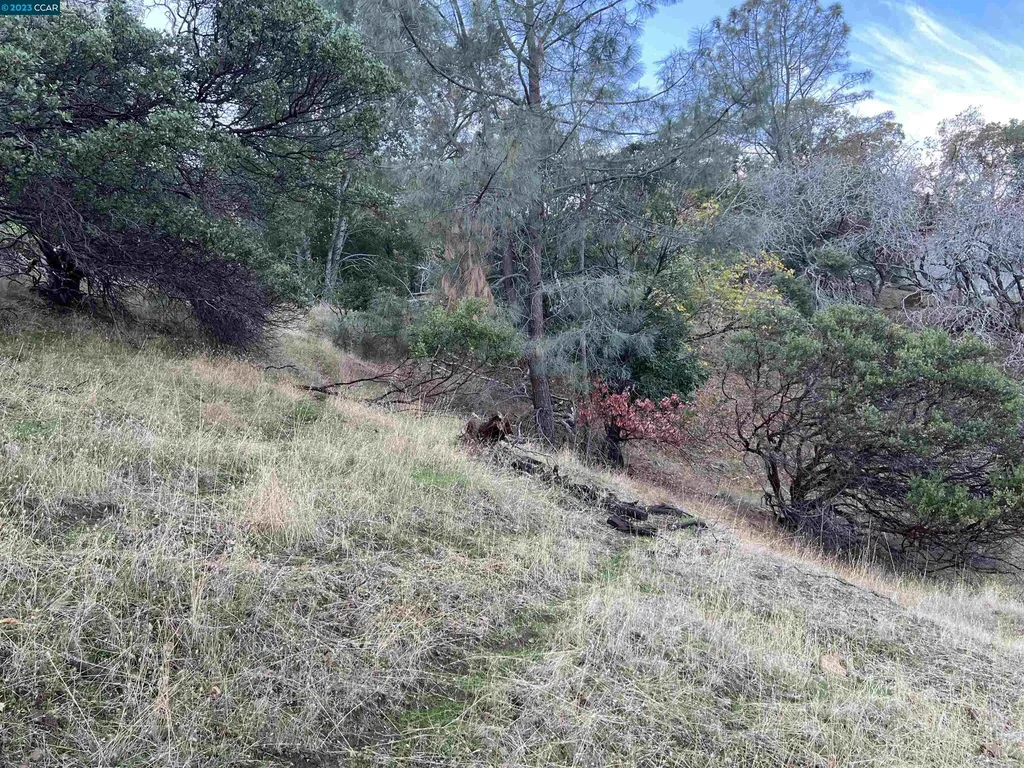 196 Country Club Lane Napa CA 94558