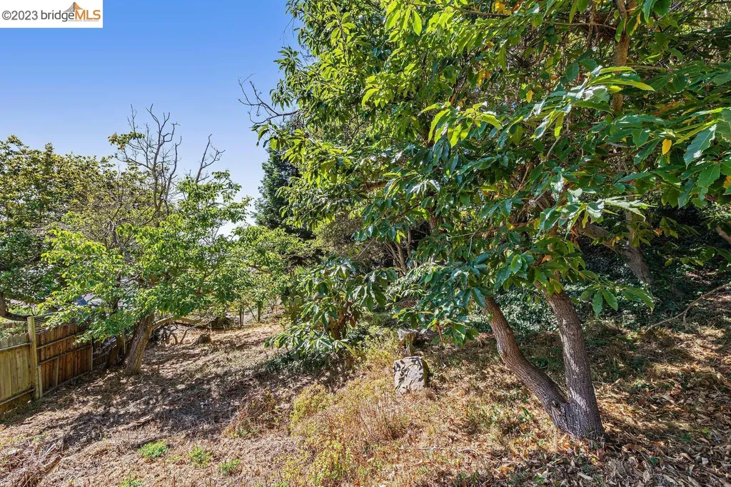 614 Cragmont Avenue Berkeley CA 94708