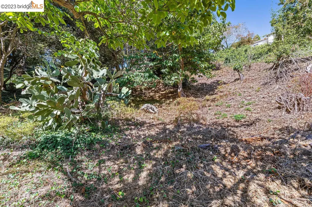 614 Cragmont Avenue Berkeley CA 94708