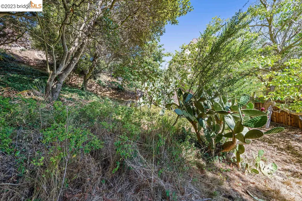 614 Cragmont Avenue Berkeley CA 94708