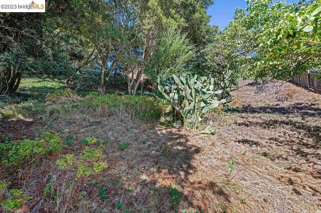 614 Cragmont Avenue Berkeley CA 94708