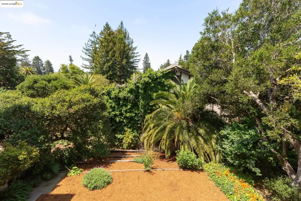 30 Domingo Avenue Berkeley CA 94705