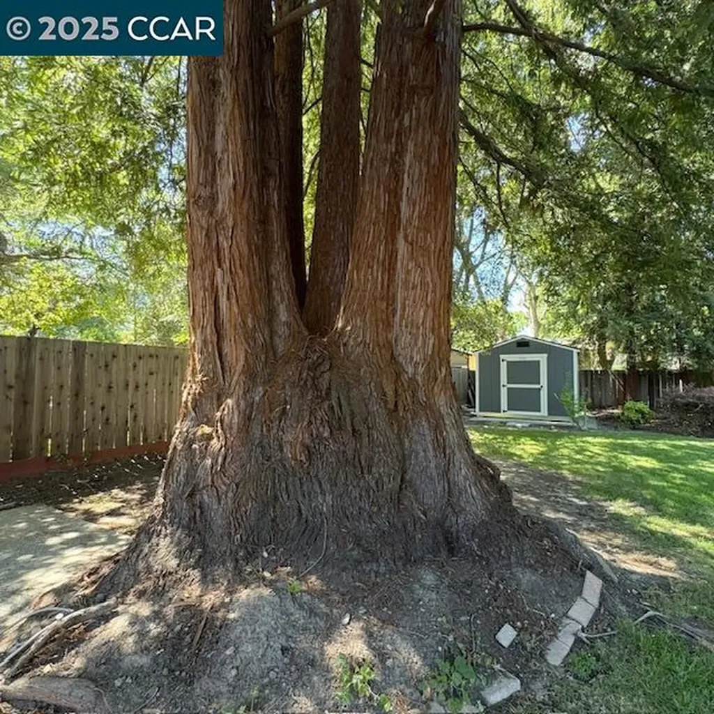 2150 Whyte Park Avenue Walnut Creek CA 94595
