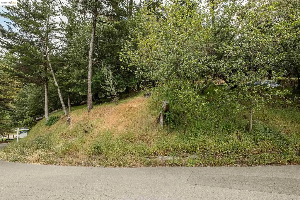 0 Chelsea Drive Oakland CA 94611