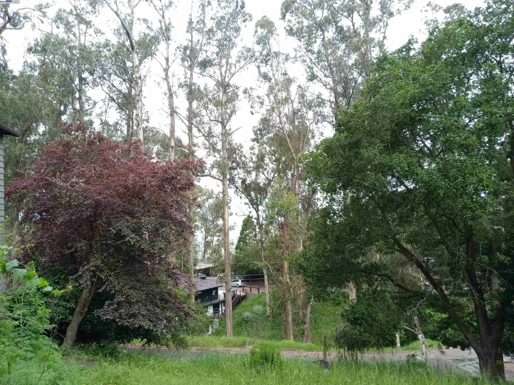 1375 Queens Road Berkeley CA 94708