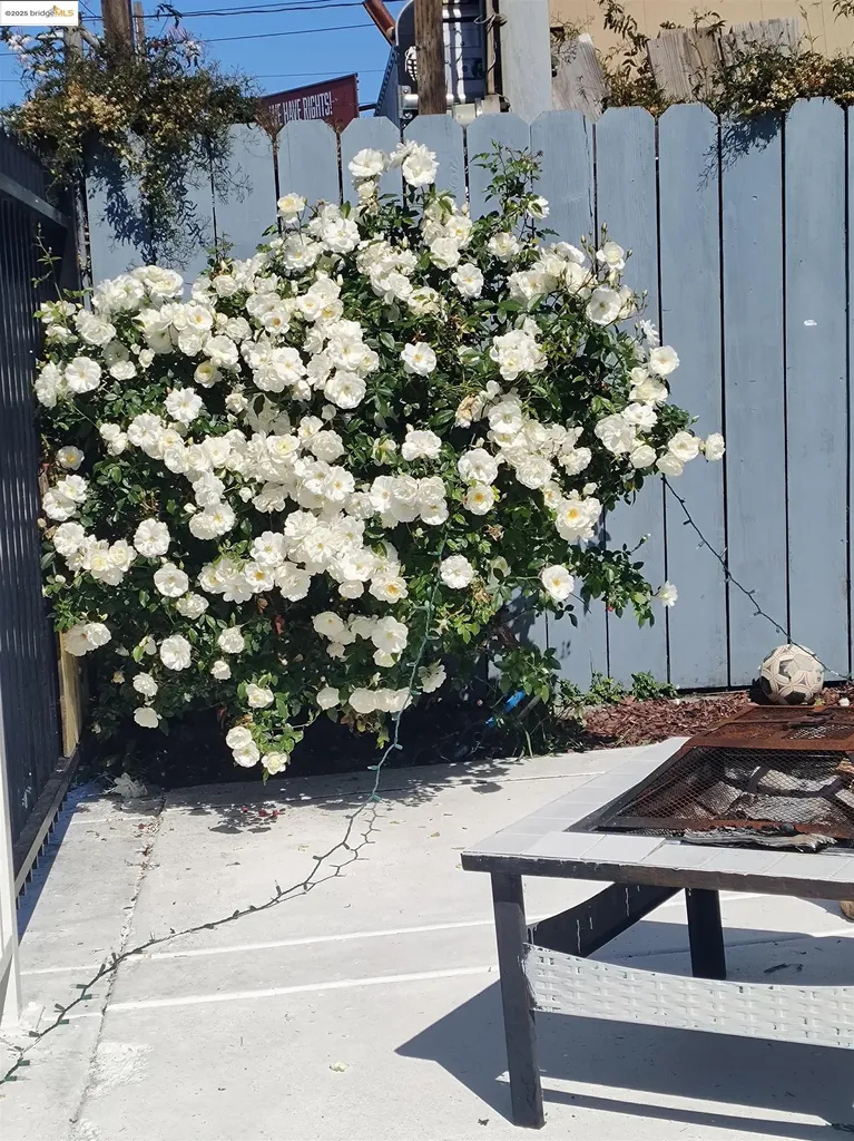 3532 San Leandro Street Oakland CA 94601