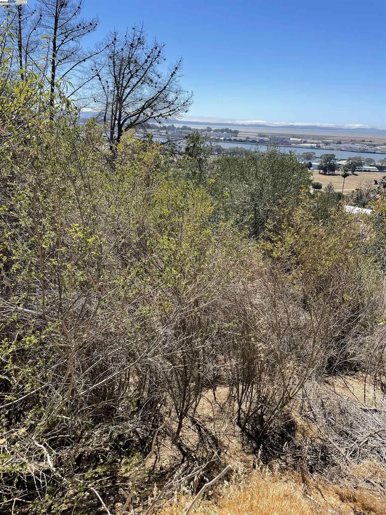 25 Burnham Street Vallejo CA 94590