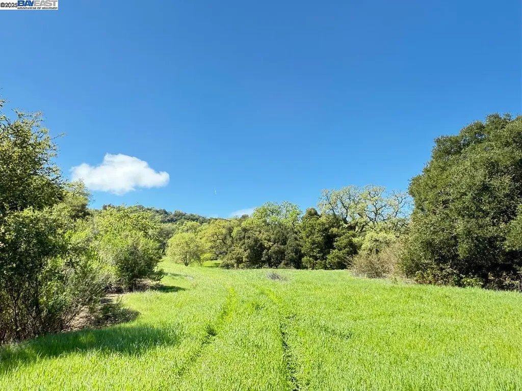 8272 Sassafras Court Pleasanton CA 94566