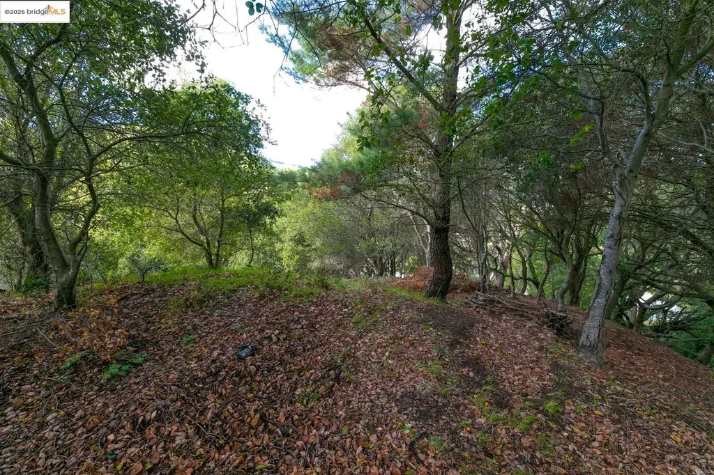 26 Lucille Way Orinda CA 94563