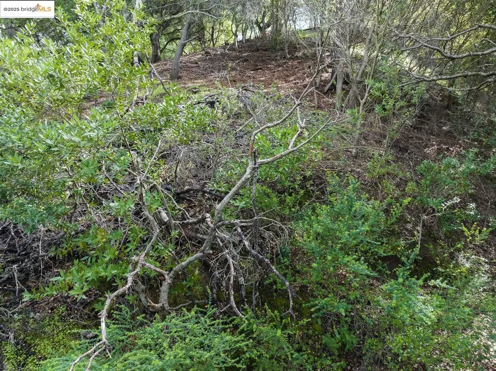 26 Lucille Way Orinda CA 94563