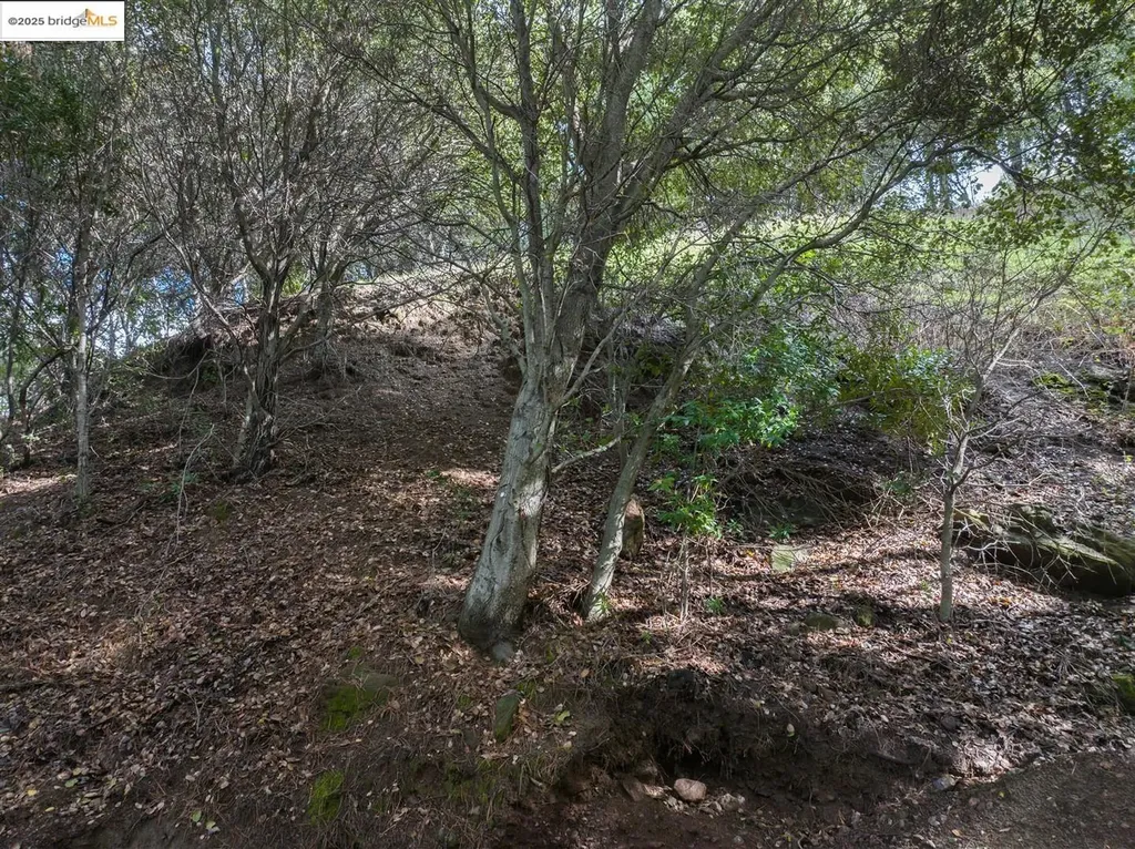 26 Lucille Way Orinda CA 94563