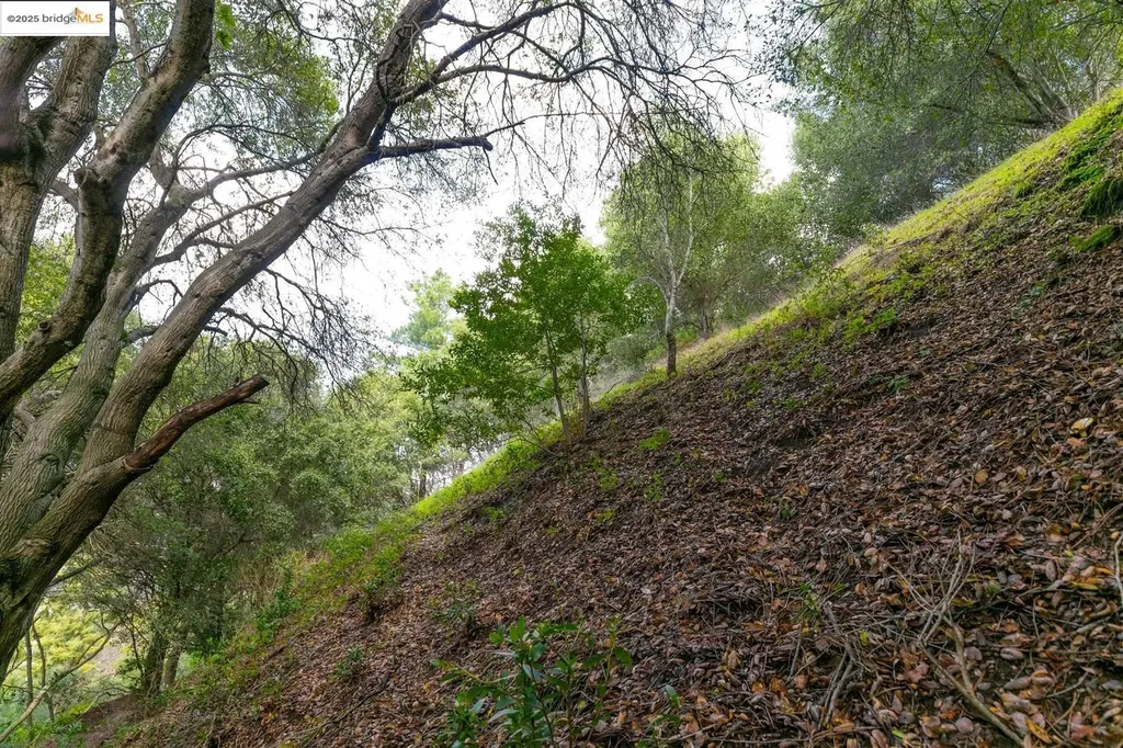 26 Lucille Way Orinda CA 94563
