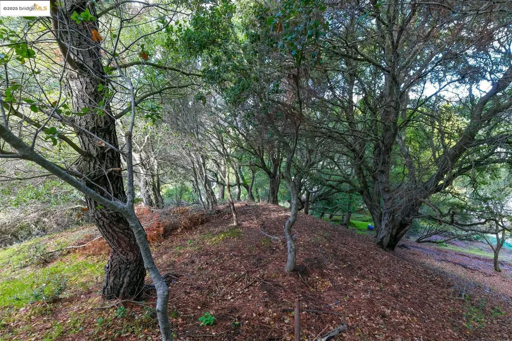 26 Lucille Way Orinda CA 94563
