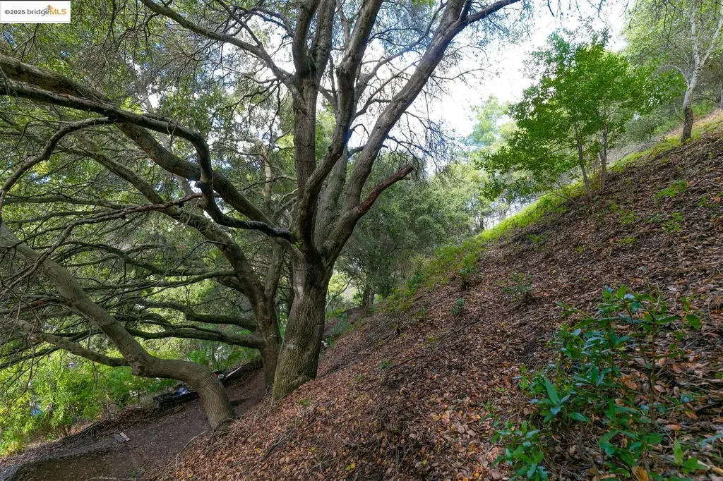 26 Lucille Way Orinda CA 94563