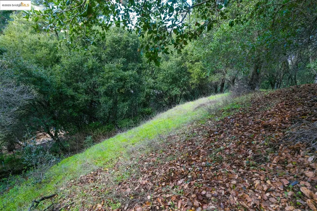 26 Lucille Way Orinda CA 94563