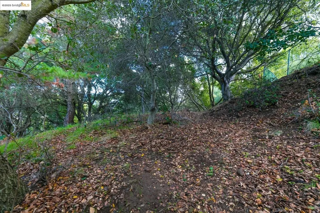 26 Lucille Way Orinda CA 94563