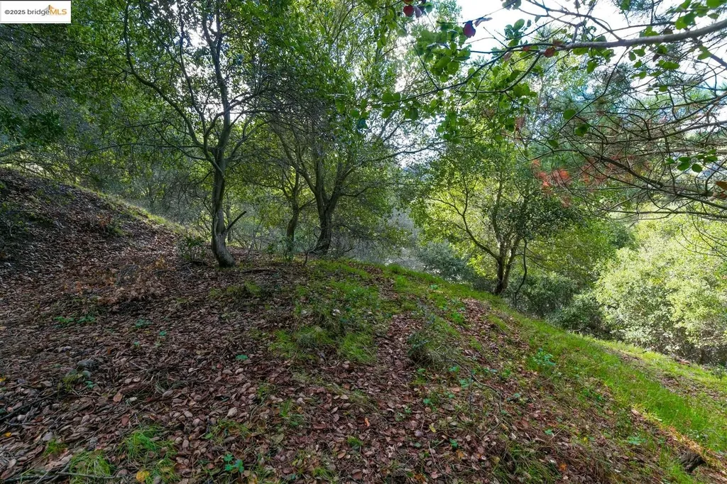 26 Lucille Way Orinda CA 94563
