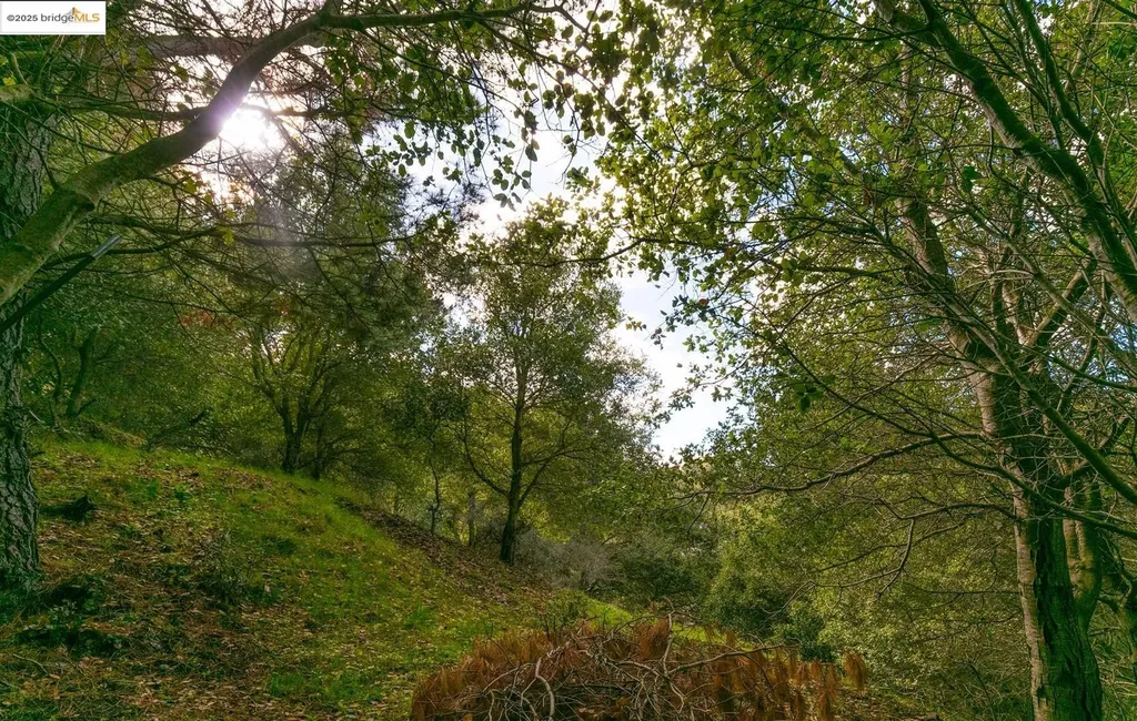 26 Lucille Way Orinda CA 94563