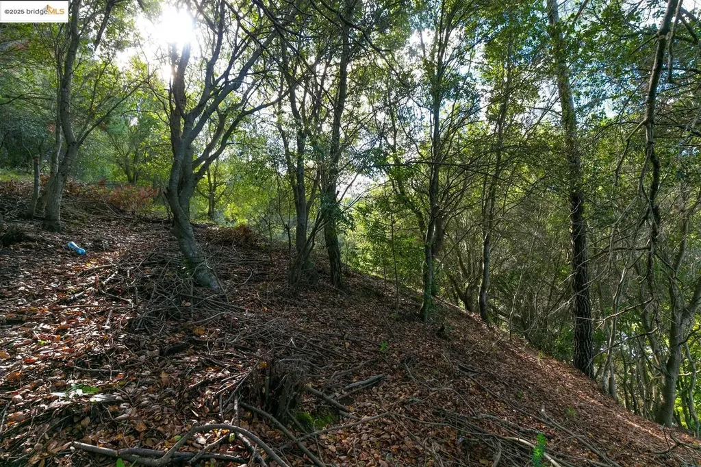 26 Lucille Way Orinda CA 94563