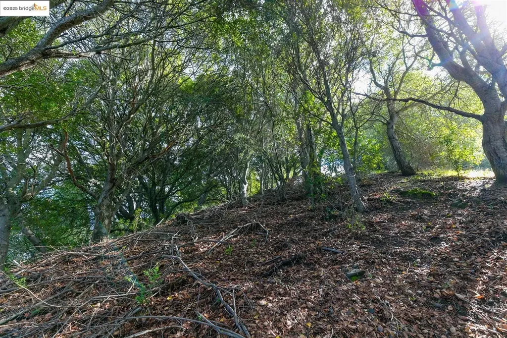 26 Lucille Way Orinda CA 94563
