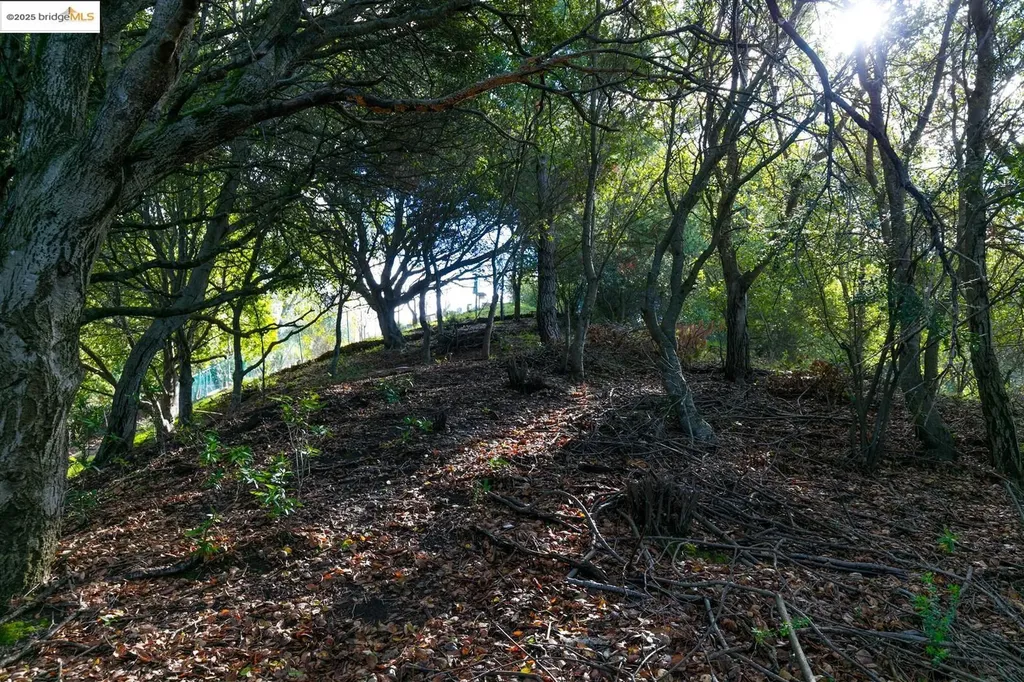26 Lucille Way Orinda CA 94563
