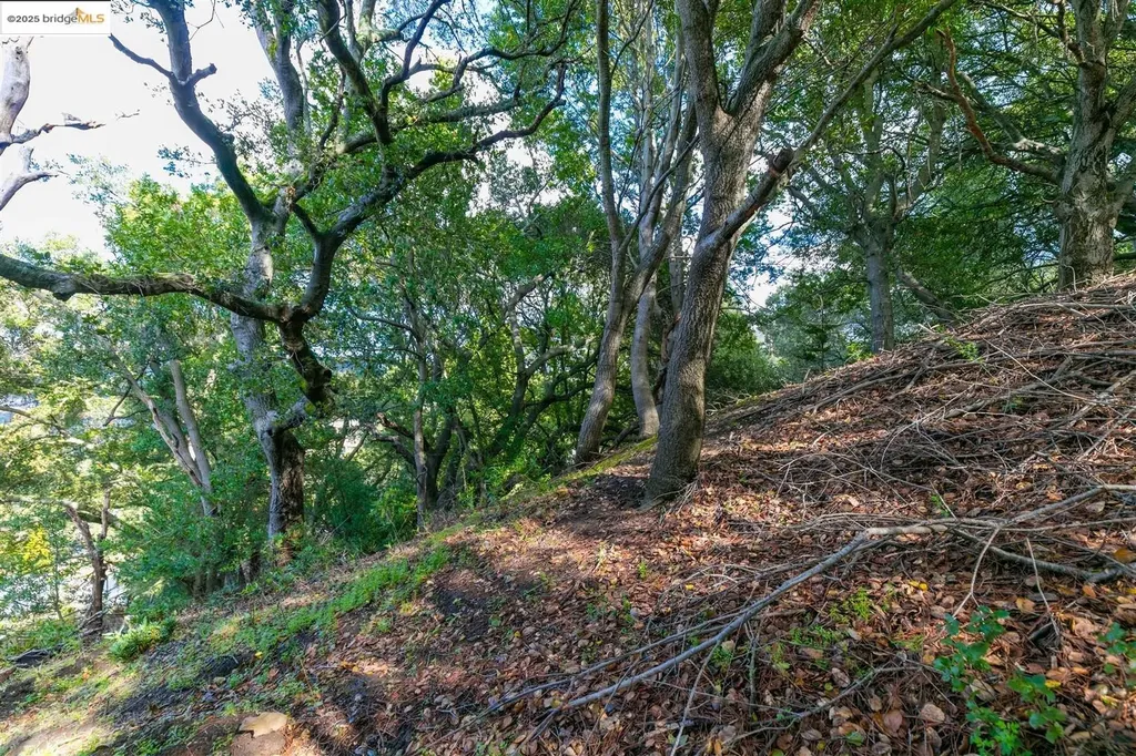 26 Lucille Way Orinda CA 94563