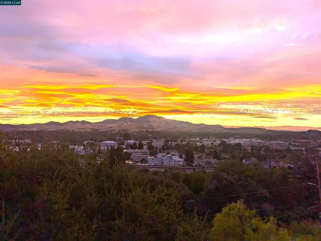 1646 Terrace Way Walnut Creek CA 94597