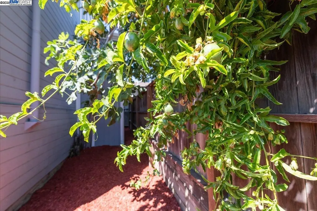 3214 13th Avenue Oakland CA 94610