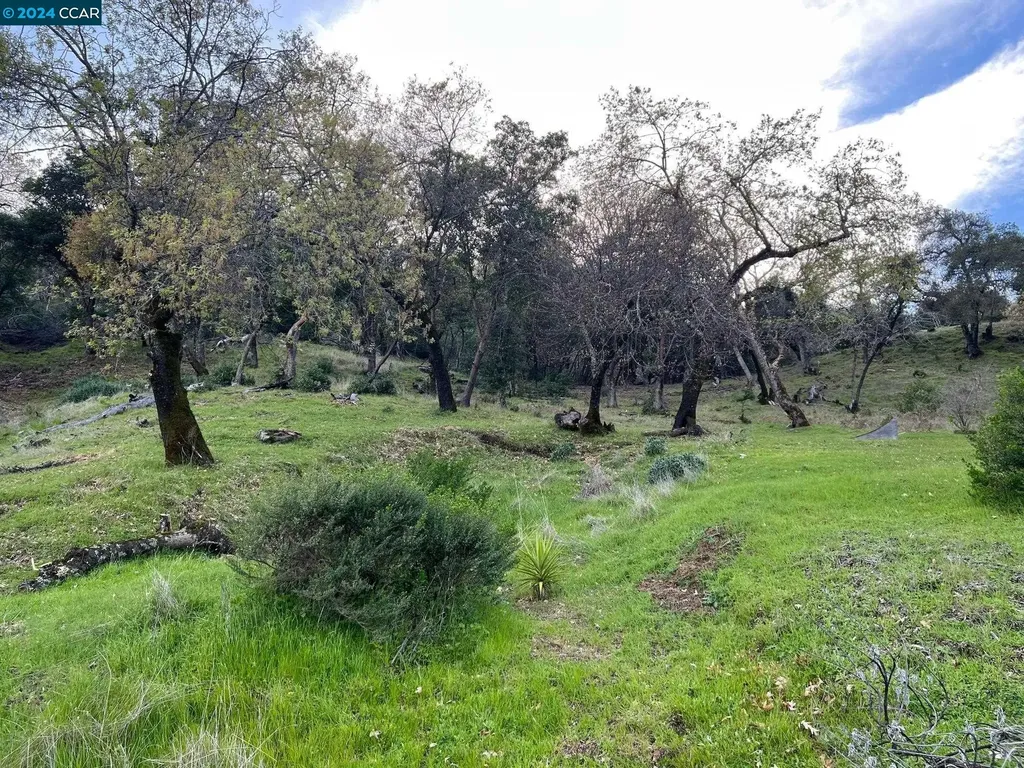 228 Country Club Lane Napa CA 94558