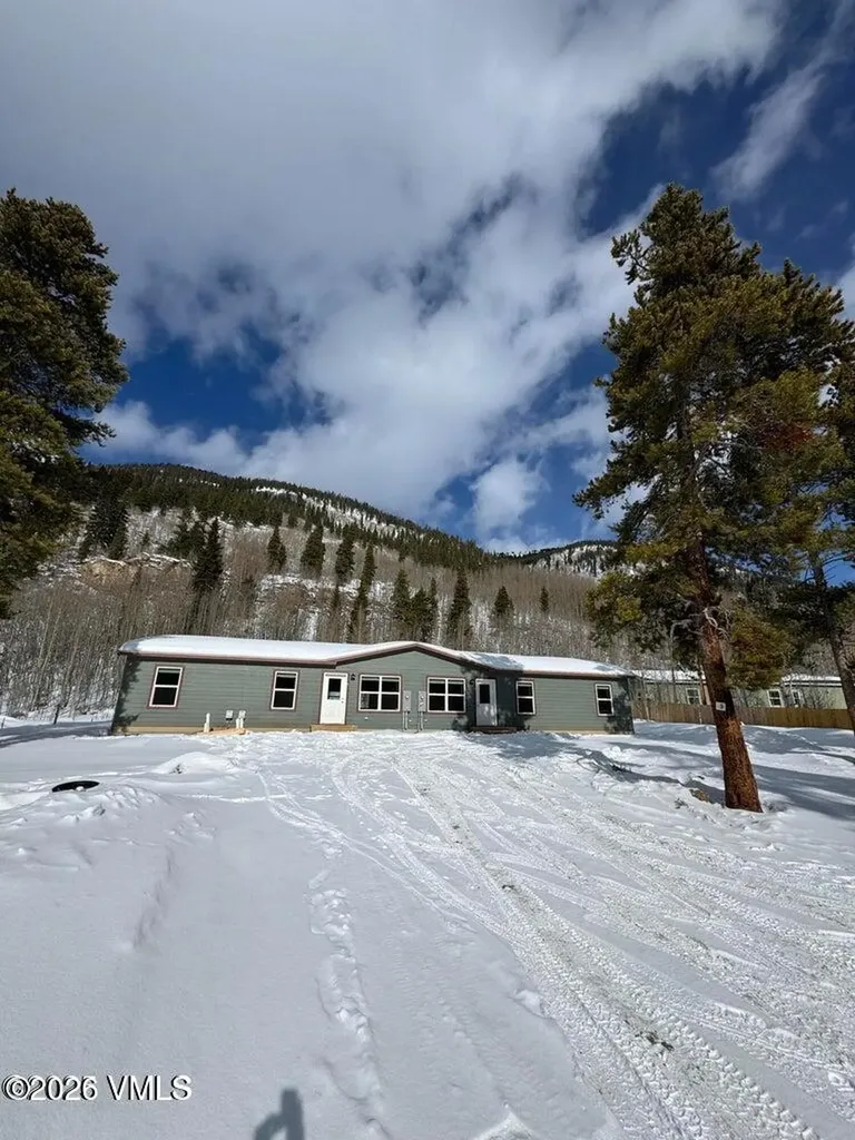 3299 Co-91 Leadville CO 80461