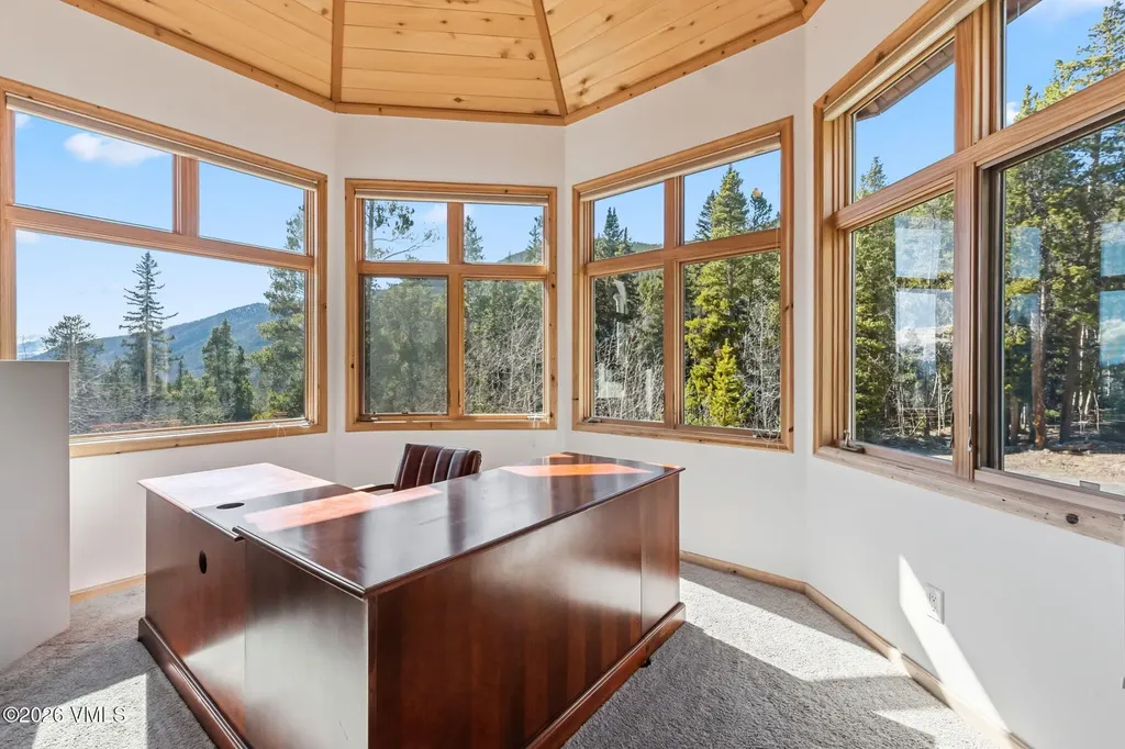 300 Buckeye Creek Road Leadville CO 80461