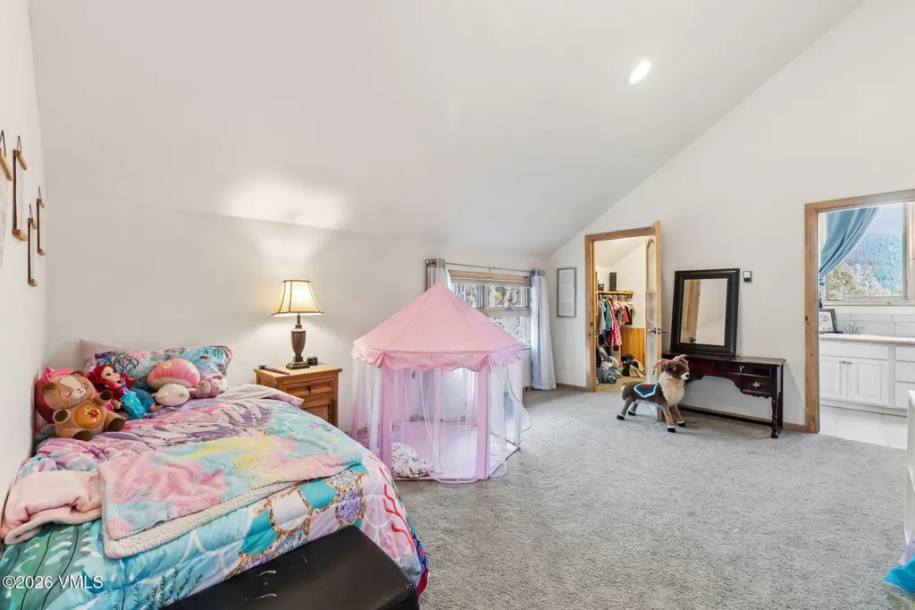 300 Buckeye Creek Road Leadville CO 80461