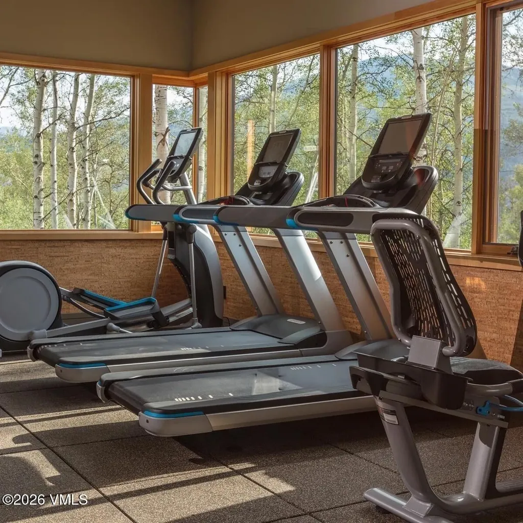 53 Hargrove Way Silverthorne CO 80498
