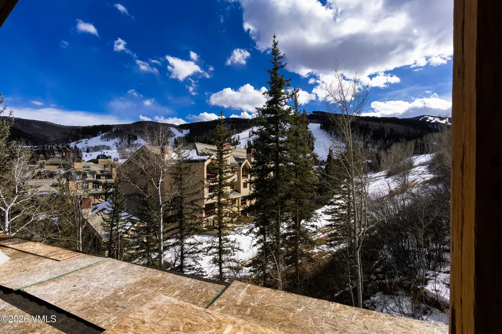 46 Red Spruce Lane Beaver Creek CO 81620
