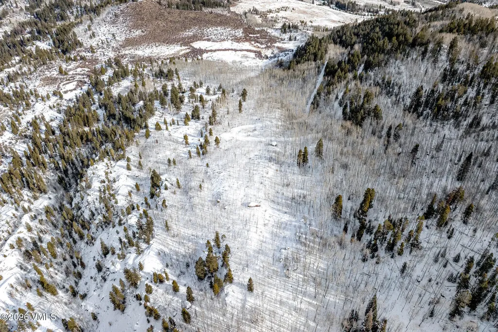 Tbd Notch Mountain Road Minturn CO 81645