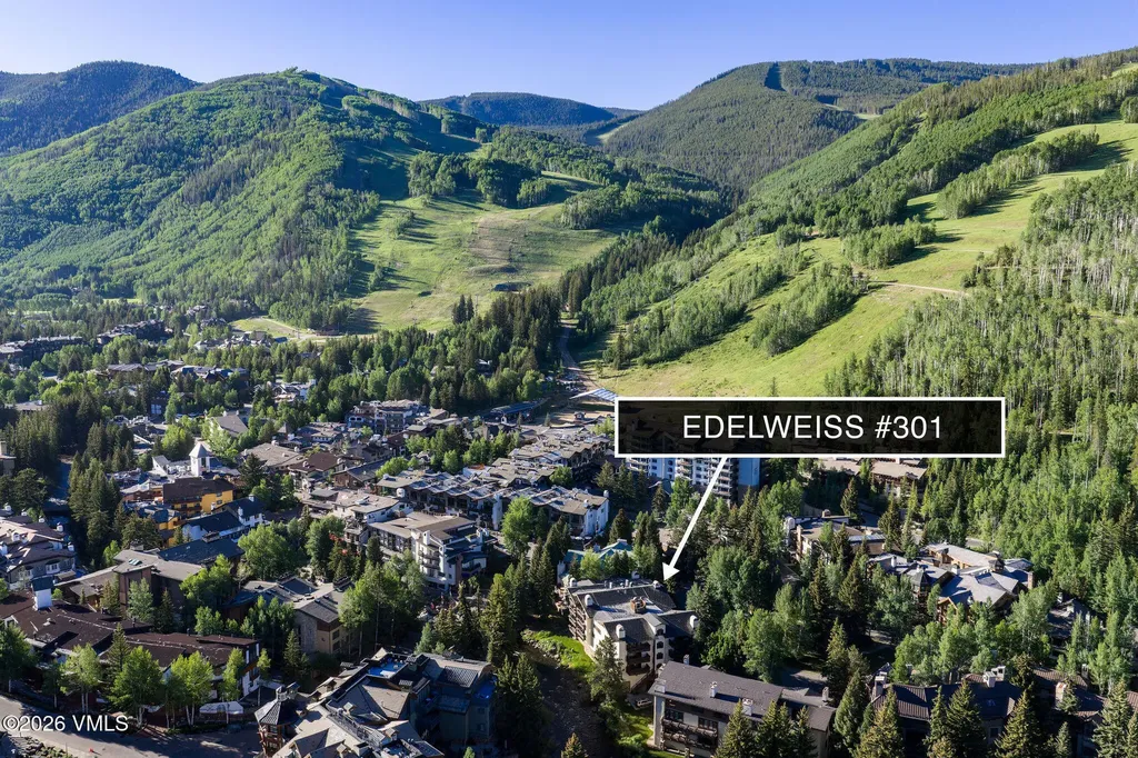 103 Willow Place Vail CO 81657
