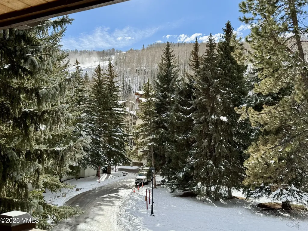 103 Willow Place Vail CO 81657